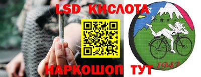 шишки Тулун