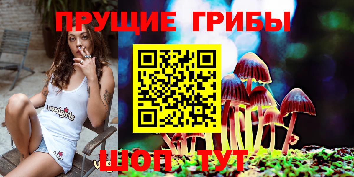 сколько стоит  Псилоцибиновые грибы Psilocybine cubensis  Вход с VPN  Дагестанские Огни 